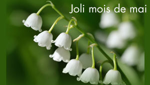 2018-MOIS DE MAI