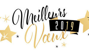 2019-voeux